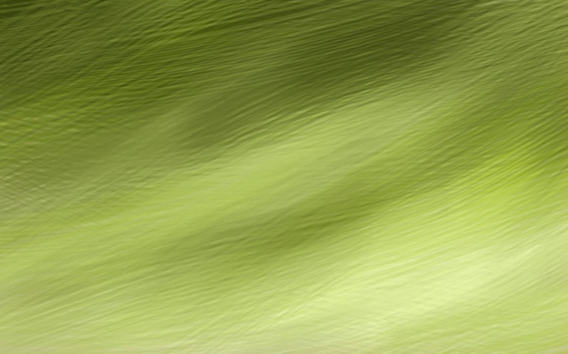 Stacks Image 16